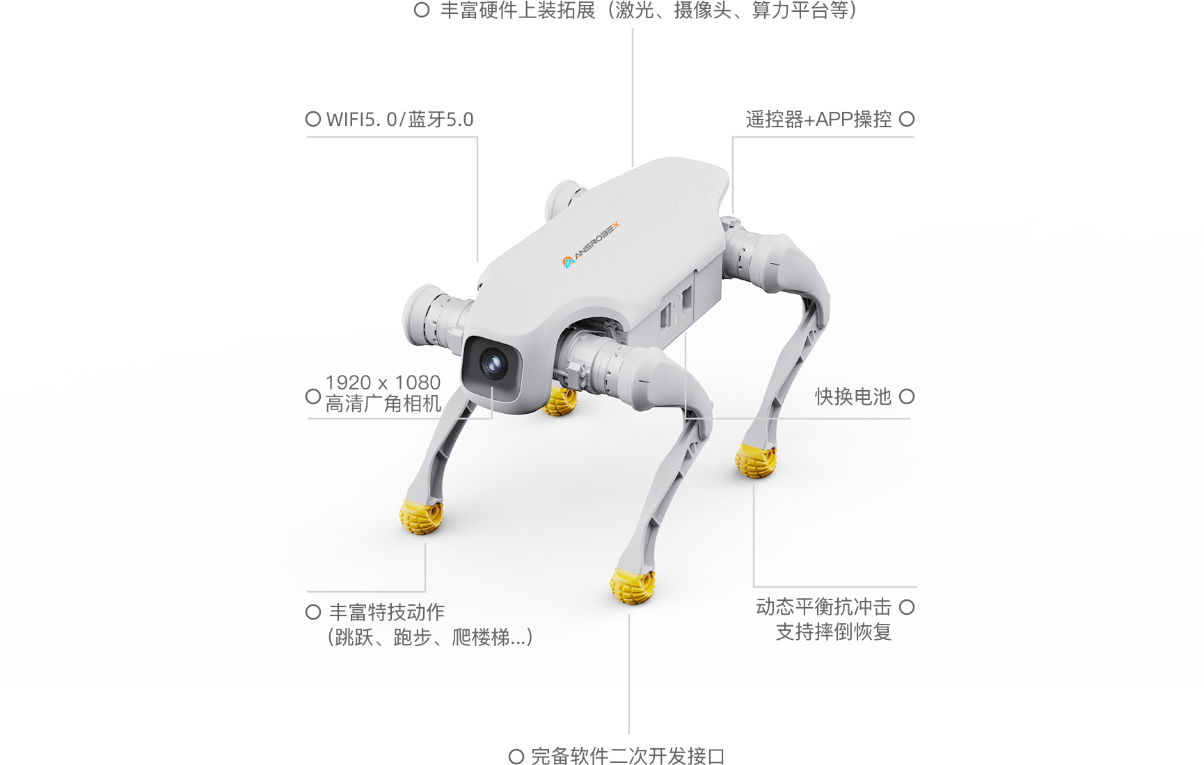 图片关键词