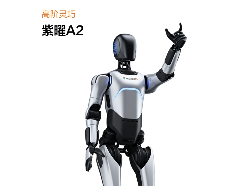 紫曜A2
