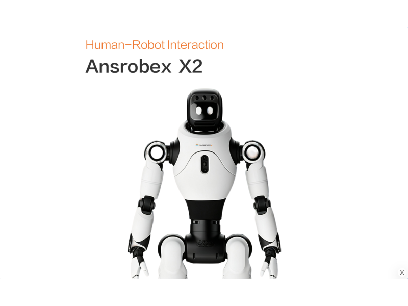 Ansrobex X2